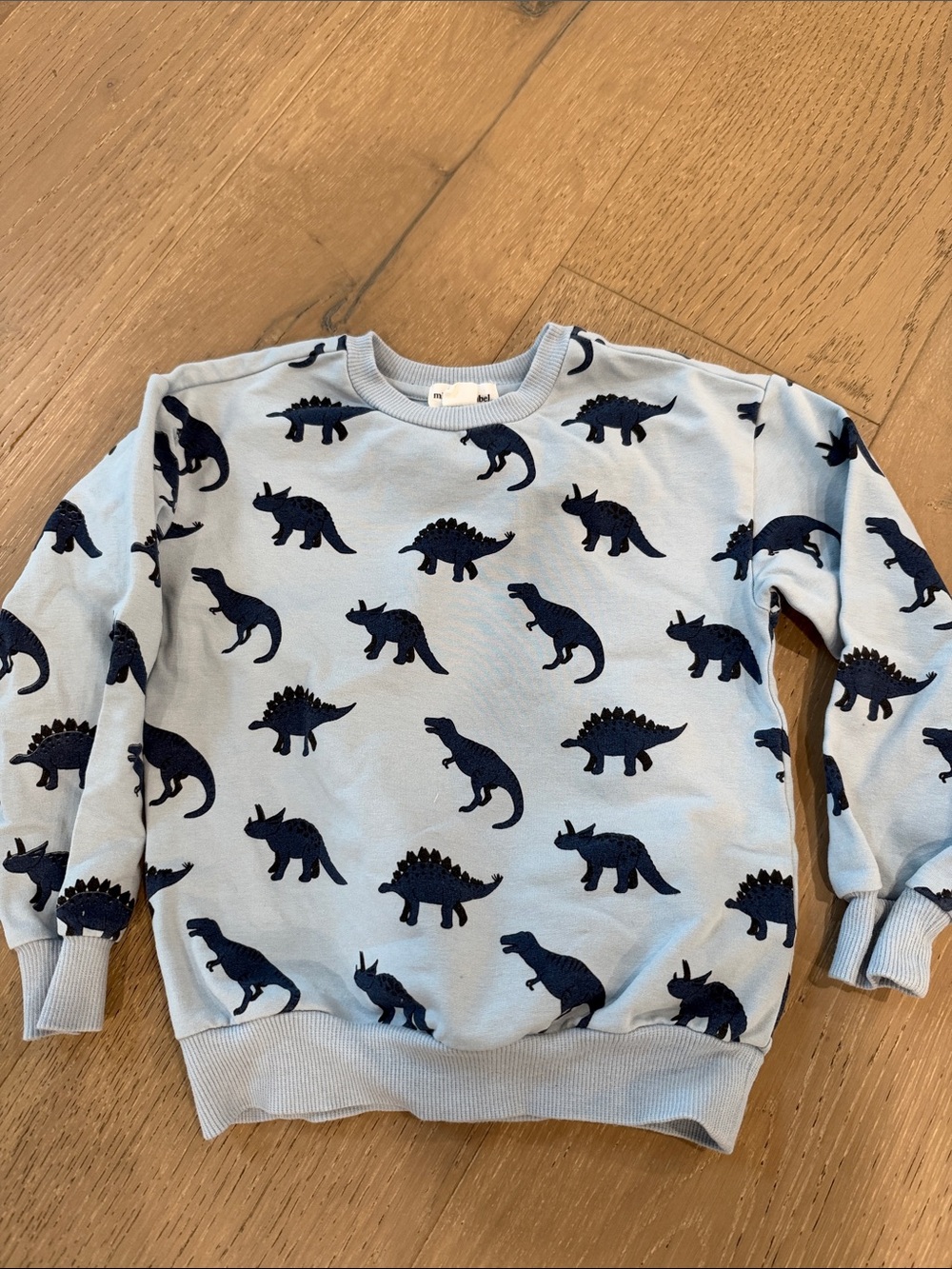 Rooooaaaarrrrrr Adorable Dino sweatshirt